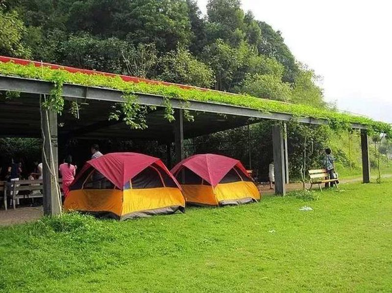 尤溪蔬菜产业：从传统走向现代化的道路